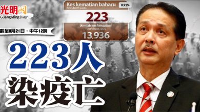 Photo of 223人染疫亡