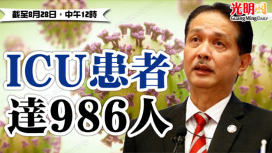 Photo of ICU患者 達986人