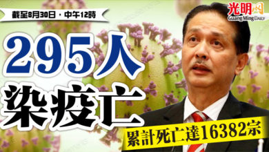 Photo of 295人染疫亡 累計死亡達16382宗