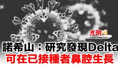 Photo of 諾希山：研究發現 Delta 可在已接種者鼻腔生長