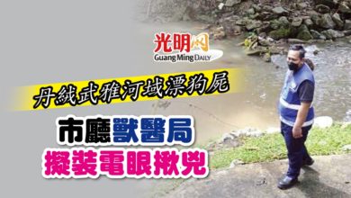 Photo of 丹絨武雅河域漂狗屍 市廳獸醫局擬裝電眼揪兇