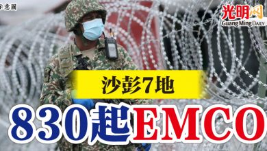 Photo of 沙彭7地 830起EMCO