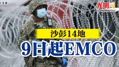 Photo of 沙彭14地  9日起EMCO