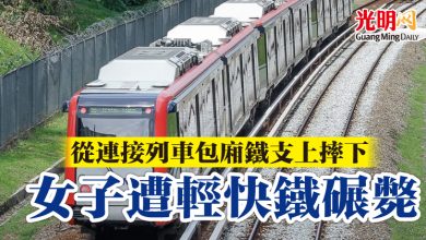 Photo of 從連接列車包廂鐵支上摔下 女子遭輕快鐵碾斃