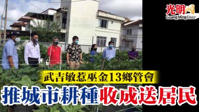 Photo of 武吉敏惹巫金13鄉管會  推城市耕種 收成送居民