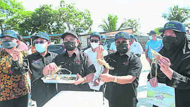 Photo of 羅納建迪：未接獲報告 食品工業不受熱天影響