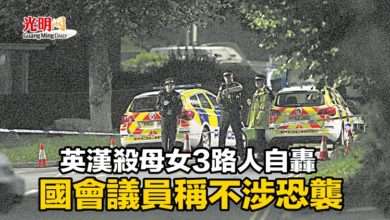 Photo of 英漢殺母女3路人自轟 國會議員稱不涉恐襲