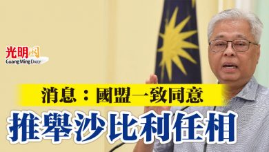 Photo of 消息：國盟一致同意 推舉沙比利任相
