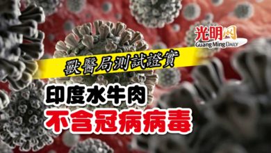Photo of 獸醫局測試證實 印度水牛肉不含冠病病毒