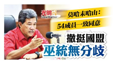 Photo of 莫哈末哈山：54成員一致同意 巫統撤挺國盟無分歧