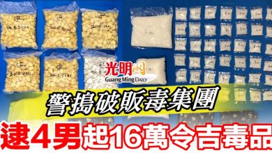 Photo of 警搗破販毒集團   逮4男  起16萬令吉毒品