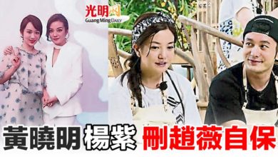 Photo of 黃曉明楊紫 刪趙薇自保