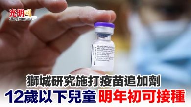 Photo of 獅城研究施打疫苗追加劑 12歲以下兒童明年初可接種
