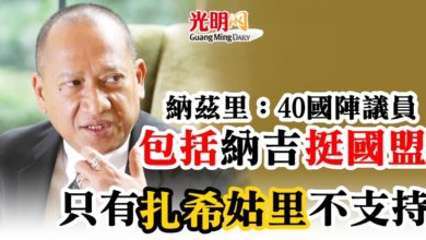 Photo of 納茲里：40國陣議員包括納吉挺國盟   只有扎希姑里不支持