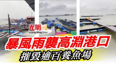 Photo of 暴風雨襲高淵港口  摧毀逾百養魚場
