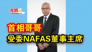 Photo of 首相哥哥受委NAFAS董事主席