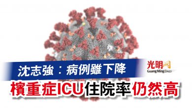 Photo of 沈志強：病例雖下降  檳重症ICU住院率仍然高