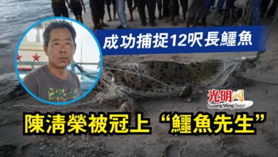 Photo of 成功捕捉12呎長鱷魚  陳清榮被冠上“鱷魚先生”
