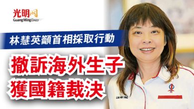 Photo of 林慧英籲首相採取行動  撤訴海外生子獲國籍裁決