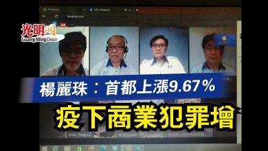 Photo of 楊麗珠：首都上漲9.67％ 疫下商業犯罪增