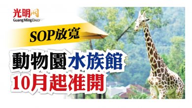 Photo of SOP放寬 動物園水族館10月起准開