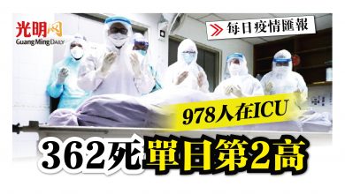 Photo of 362死單日第2高 978人在ICU