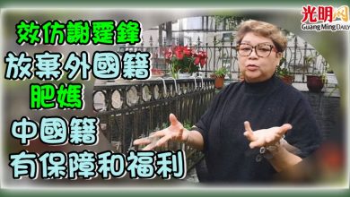 Photo of 效仿謝霆鋒放棄外國籍  肥媽:中國籍有保障和福利