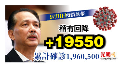 Photo of 增19550宗 稍有回降