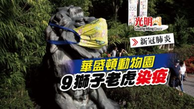 Photo of 【新冠肺炎】華盛頓動物園 9獅子老虎染疫