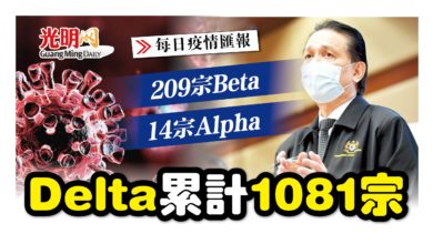 Photo of 209宗Beta 14宗Alpha Delta累計1081宗