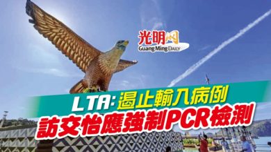 Photo of LTA：遏止輸入病例 訪交怡應強制PCR檢測