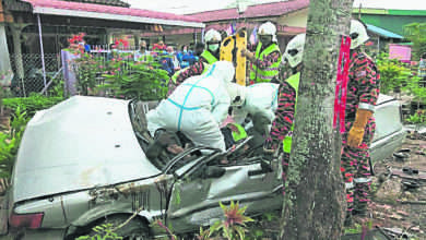 Photo of 衝入反向車道 司機死  車撞樹90度豎立卡着