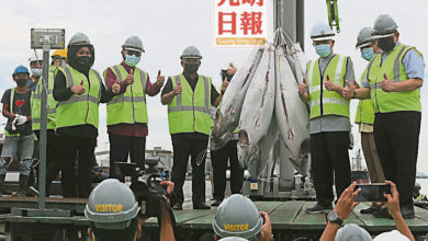 Photo of 8月捕獲量5.2億元 金槍魚工業潛能大