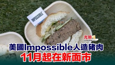 Photo of 美國Impossible人造豬肉 11月起在新面市