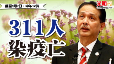 Photo of 311人染疫亡