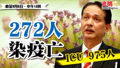 Photo of 272人染疫亡  ICU 975人
