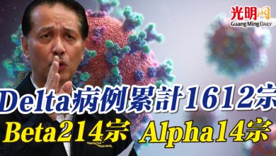 Photo of Delta病例累計1612宗 Beta214宗 Alpha14宗