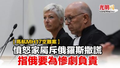 Photo of 【馬航MH17空難案】憤怒家屬斥俄羅斯撒謊 指俄要為慘劇負責