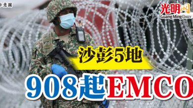 Photo of 沙彭5地  908起EMCO