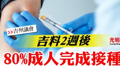 Photo of 【吉州議會】吉料2週後  80%成人完成接種