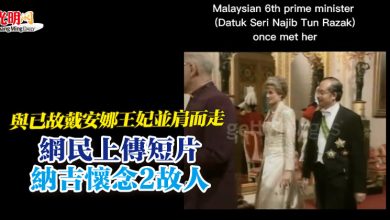 Photo of 與已故戴安娜王妃並肩而走  網民上傳短片納吉懷念2故人