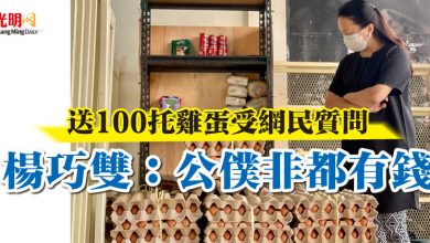 Photo of 送100托雞蛋受網民質問 楊巧雙：公僕非都有錢