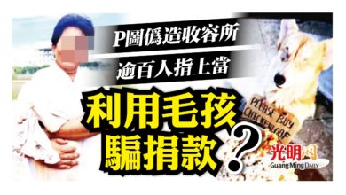 Photo of 社媒P圖偽造收容所 逾百愛狗人士指被騙捐款