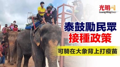 Photo of 泰鼓勵民眾接種政策 可騎在大象背上打疫苗