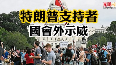 Photo of 特朗普支持者國會外示威