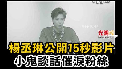 Photo of 楊丞琳公開15秒影片 小鬼談話催淚粉絲