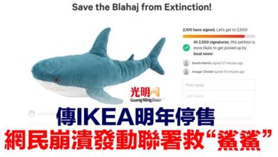 Photo of 傳IKEA明年停售 網民崩潰發動聯署救“鯊鯊”