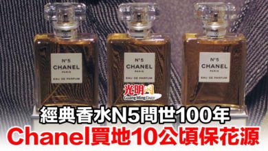 Photo of 經典香水N5問世100年 Chanel買地10公頃保花源