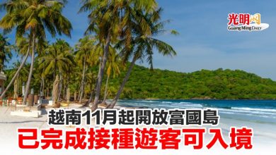 Photo of 越南11月起開放富國島 已完成接種遊客可入境