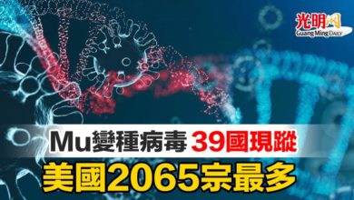 Photo of Mu變種病毒39國現蹤 美國2065宗最多